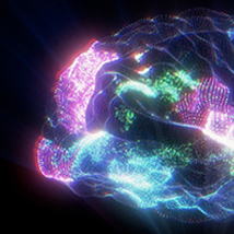 Research into Traumatic Brain Injuries